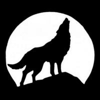 le-loup-hurlant-editions.com